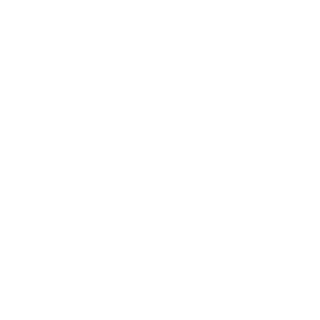 DSGJan's emblem
