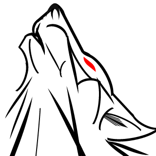 E-I-U-WOLF's emblem