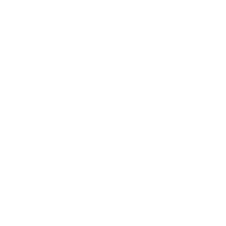 Bele-PSS's emblem