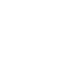 RENWINGS's emblem