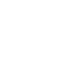 Ninja223's emblem