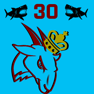 BlueWizard30's emblem