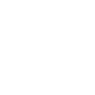 MidnightHawk99's emblem