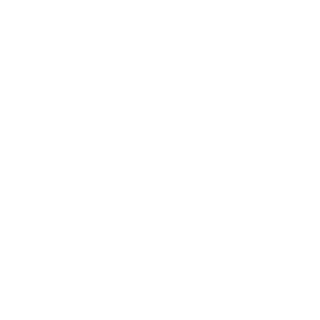 evrsouzabr's emblem