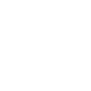 BruhDude42's emblem