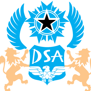 DIVISION  SOLDADOS ARG's emblem