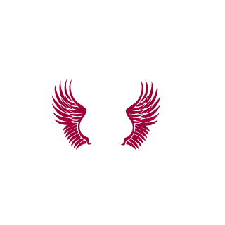 11JK11's emblem
