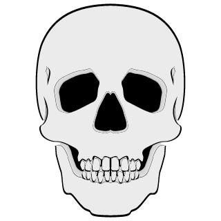 Ph3oniX4321's emblem