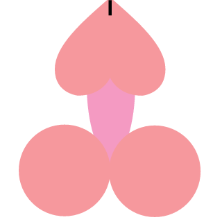 rachui13's emblem
