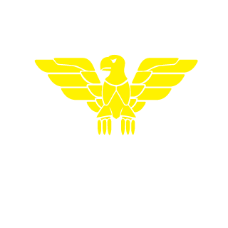 0DimeDrol0's emblem