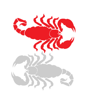 10pcsNUGGETS's emblem