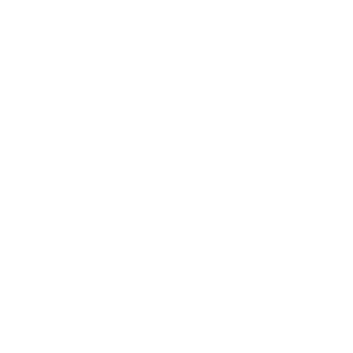 173c052aa90211f3's emblem