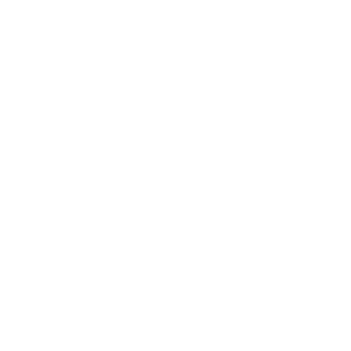 Ruj-239's emblem