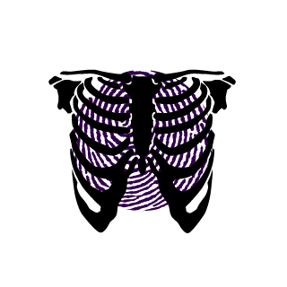Melmannn's emblem