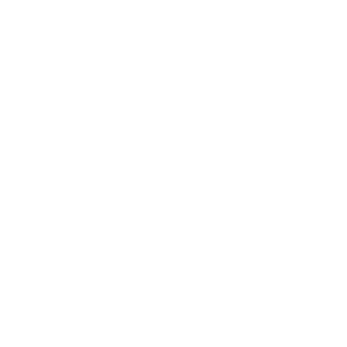 noobsoljah's emblem