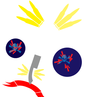 NanoBiba's emblem