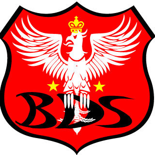 Black Death Squadron's emblem