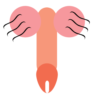 IRamanych's emblem