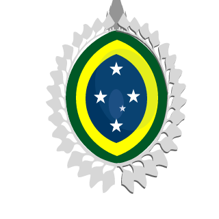 SandrinRJ's emblem