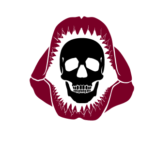 nandosspvp's emblem