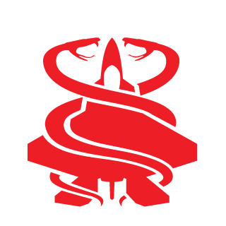 Dibir0027d's emblem
