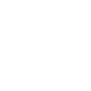 Z_Berserk_Z's emblem