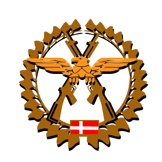 nso1999's emblem