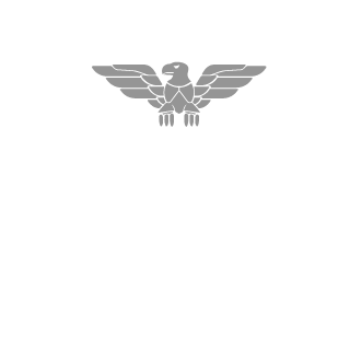 Bozon_PL's emblem