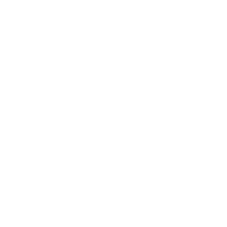 DlGlTAL_TRAUMA's emblem