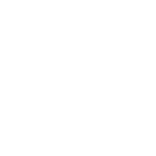 Logic596's emblem