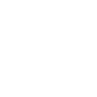 OwnSlender's emblem