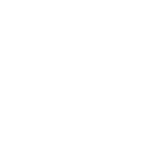 LuisFeLpz's emblem