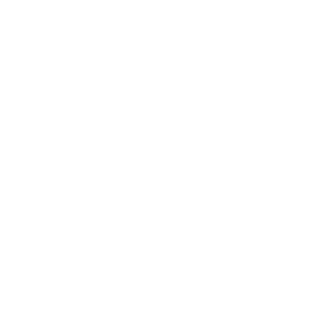 BAOSIC's emblem