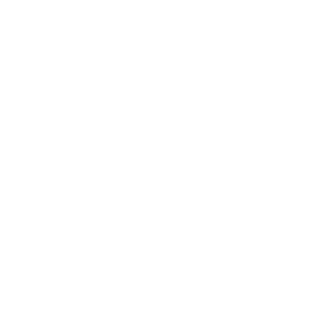 Bad_1951's emblem