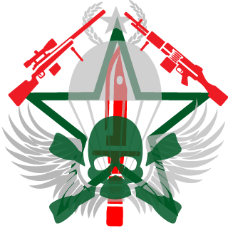 DAMAGE2405's emblem
