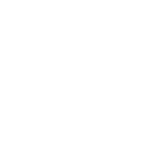 HYingZ's emblem