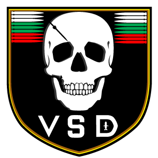 Vinkel S Diodi's emblem