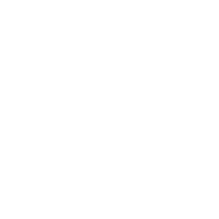 TheFunkySkunky23's emblem