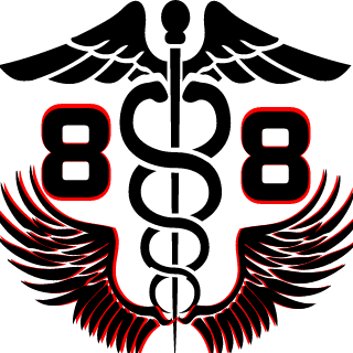 SYE NeMeSiiS's emblem