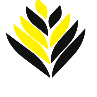 DrGSp0t's emblem