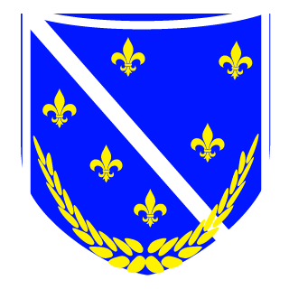 ShadowSamir's emblem