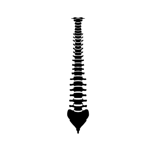 OSWA_IM117's emblem