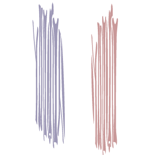 DarkIRaptor's emblem