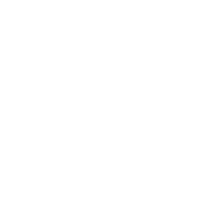 DyNamicMarshalX's emblem
