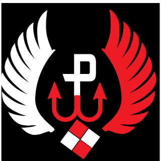 6_ASSASIN_9's emblem