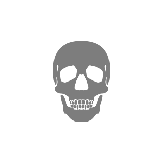 BVFIII's emblem