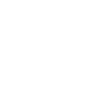 SHAVEN_DRY's emblem