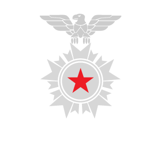 zZDesert_EagleZz's emblem