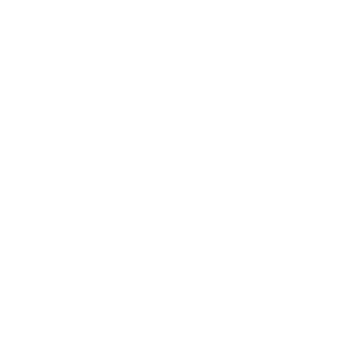 ImNev3rWrong's emblem