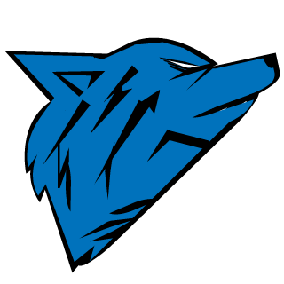 S4vitch's emblem